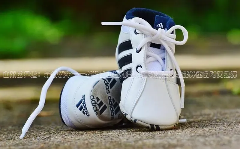 山巅的足迹：最新发布——新款登山运动鞋，引领潮流与功能并重的时尚选择