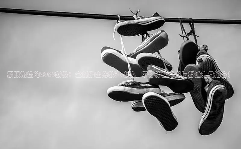 壹号大舞台官网入口下载